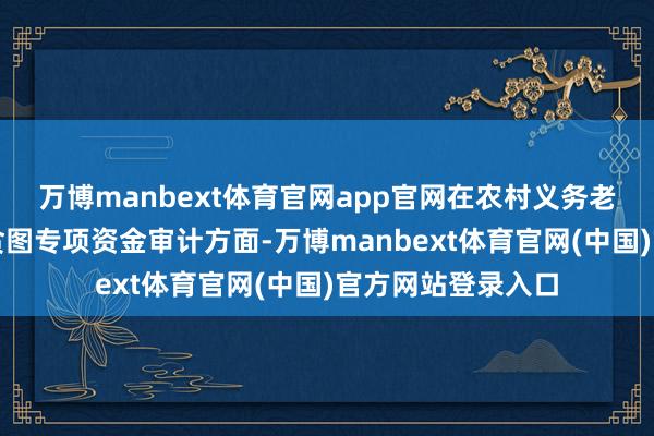 万博manbext体育官网app官网在农村义务老成学生育分改善贪图专项资金审计方面-万博manbext体育官网(中国)官方网站登录入口