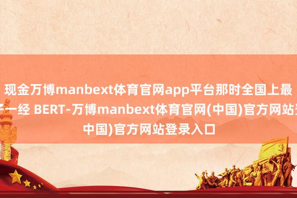 现金万博manbext体育官网app平台那时全国上最大的模子一经 BERT-万博manbext体育官网(中国)官方网站登录入口