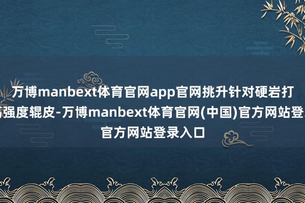 万博manbext体育官网app官网挑升针对硬岩打算的高强度辊皮-万博manbext体育官网(中国)官方网站登录入口