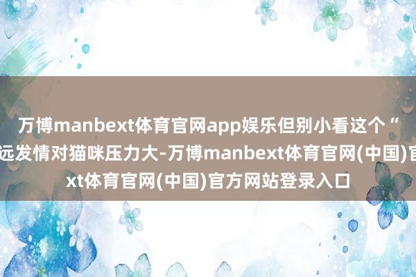 万博manbext体育官网app娱乐但别小看这个“颂扬比赛”