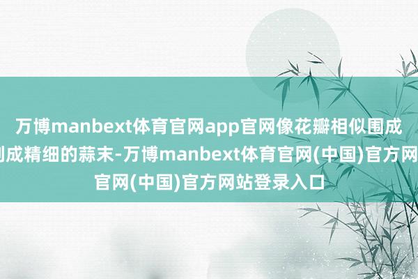 万博manbext体育官网app官网像花瓣相似围成圈3. 大